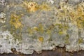 weathered stone wall with lichen Royalty Free Stock Photo