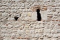 Weathered Stonewall Background from a Castle Wall Royalty Free Stock Photo