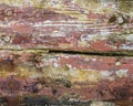 Weathered Struts of Wood of the Old Boat of Caol in Scotland, UK