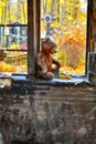 Teddy bear toy, yellow maple leaf, old crypt with child burial in cemetery