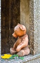 Teddy bear toy, yellow maple leaf, old crypt with child burial in cemetery