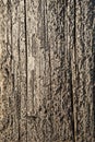 Weathered Telephone Pole Royalty Free Stock Photo