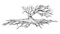 Weathered Tree with Exposed Roots and Sparse Branches, Line Art, vector design Generative AI Royalty Free Stock Photo
