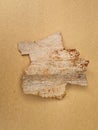 Weathered treebark from a large tree Royalty Free Stock Photo