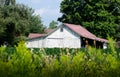 Weathered white barn in a Michigan orchard Royalty Free Stock Photo