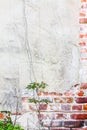 Weathered white stucco over aged red brick wall