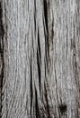 Weathered wood background