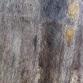 Weathered wood background Royalty Free Stock Photo