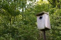 Weathered wood birdhouse mounted on a pole, trees background