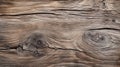 Weathered Wood: A Close-up Of Cracking And Knots