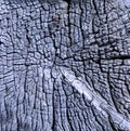 Weathered wood grain Royalty Free Stock Photo