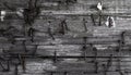 Weathered wood with rusted nails and metal staples background texture Royalty Free Stock Photo