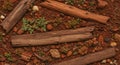 Weathered Wood Sticks on Red Earth Ground Royalty Free Stock Photo