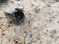 Weathered wood and stone on dry ground