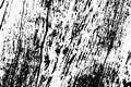 Weathered wood trunk monochrome texture. Obsolete texture of timber board.