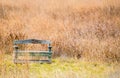 Weathered wooden bench in golden prairie grass