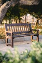 Weathered wooden bench in a park in warm sunset light Royalty Free Stock Photo