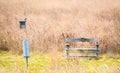 Weathered wooden bench with red bird on bird feeder in a field