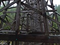 Weathered wooden planks of railroad bridge Kinsol Trestle between forest on cloudy day in autumn on Vancouver Island, BC, Canada. Royalty Free Stock Photo