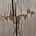 Weathered wooden surface featuring deep cracks and peeling layers Royalty Free Stock Photo
