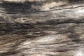 Weathered wooden texture with cracks photo. Old timber surface closeup. Natural background for vintage design Royalty Free Stock Photo