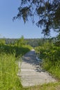 Wooden walkway to lake