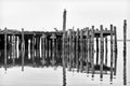 Weathered and Worn Pier at Bodega Bay Royalty Free Stock Photo