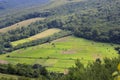 weathering of hay, haystacks in the field. idyllic country landscapes on a sunny day. beautiful rural landscape of the Royalty Free Stock Photo