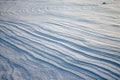 Weathering on the snow plain Royalty Free Stock Photo