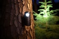 weatherproof motion sensor light on a tree