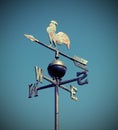 Weathervane also called weathercock with vintage effect