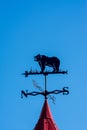 Weathervane in the form of a bear. Side of the world against the sky