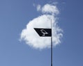 Weathervane with a gull over a sky and a cloud