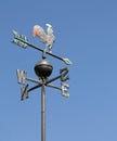 Weathervane with iron rooster