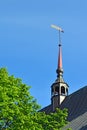 Weathervane of Koenigsberg Cathedral. Kaliningrad, Russia Royalty Free Stock Photo