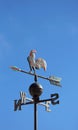 Weathervane to indicate the wind direction with a rooster in wro