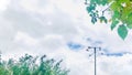 Weathervane under a cloudy sky with branches tree surrounding,.