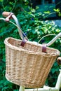 Weaved basket in front of foldable bicycle with plant background Royalty Free Stock Photo