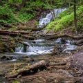 Weavers Creek Falls with logs and rocks Royalty Free Stock Photo