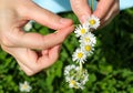 Weaving wreath of daisies