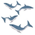 set of blue sharks isolated on white background Royalty Free Stock Photo