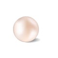 Shiny natural white sea pearl with light effects Royalty Free Stock Photo