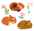 Cute vector illustration with little fox, red panda and deer isolated on white background. Can be used as elements for banner, pos Royalty Free Stock Photo