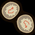 Measles virus on dark background, vector illustration