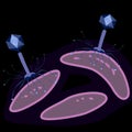 Bacteriophage virus on bacteria, dark background, vector illustration Royalty Free Stock Photo