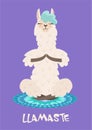 Yoga llama meditates isolated on purple background. Vector illustration. Royalty Free Stock Photo