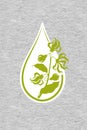 A bottle with essential oil of ylang-ylang flat icon. A drop of ylang ylang flower essential oil logo Branches of cananga tree Royalty Free Stock Photo