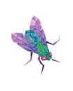 Geometric colorful figure art of green fly