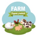 Animals in the farm scene. Concept for animal farm and organic meat food. Flat vector