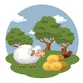 Animals in the farm scene. Concept for animal farm and organic meat food. Flat vector